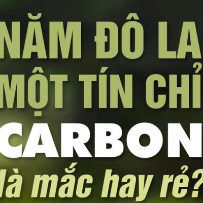 Năm đô la một tín chỉ carbon mắc hay rẻ?