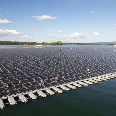 Trang trại điện mặt trời nổi lớn nhất thế giới rộng bằng 70 lần sân bóng đá