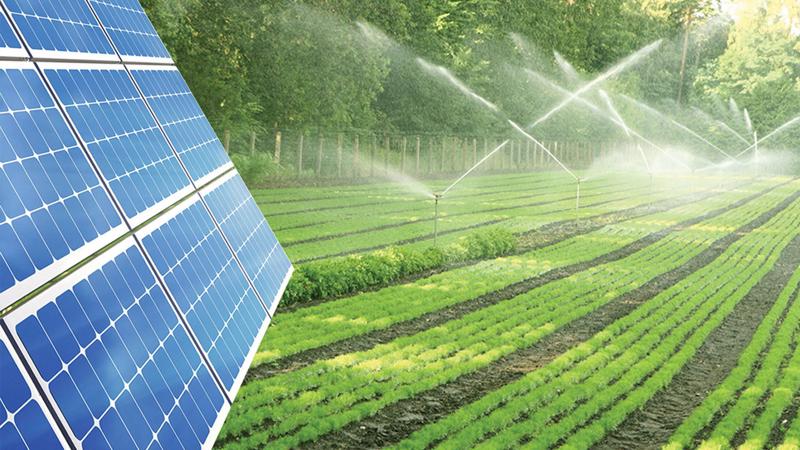 Nông nghiệp sử dụng công nghệ mặt trời 